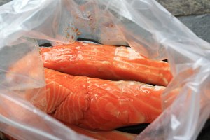 salmon-marinating
